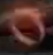 DSII-RedRing.png