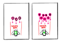 Thumbnail for version as of 20:35, 21 September 2022