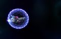Thumbnail for version as of 20:36, 28 September 2023