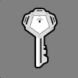 Silver key (Illvelo Swamp).jpg