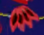 PT RB2.png