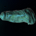 Thumbnail for version as of 18:36, 29 September 2023