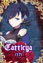 Cattleya.jpg