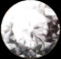 Thumbnail for version as of 00:00, 12 November 2024