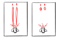 Thumbnail for version as of 20:39, 21 September 2022