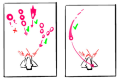 Thumbnail for version as of 20:59, 21 September 2022