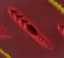 PT RB1.png