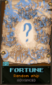 JamestownFortune.png