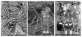 Thumbnail for version as of 20:58, 21 September 2022