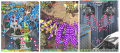 Thumbnail for version as of 20:59, 21 September 2022