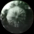 Thumbnail for version as of 23:59, 11 November 2024