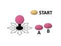 Thumbnail for version as of 19:01, 14 July 2020
