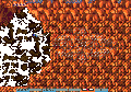 Thumbnail for version as of 16:07, 6 March 2023