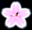 Sakura Flamingo Archives - Sakura Logo.png