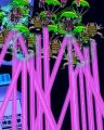 Thumbnail for version as of 17:54, 8 September 2025