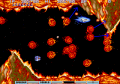 Thumbnail for version as of 15:46, 6 March 2023